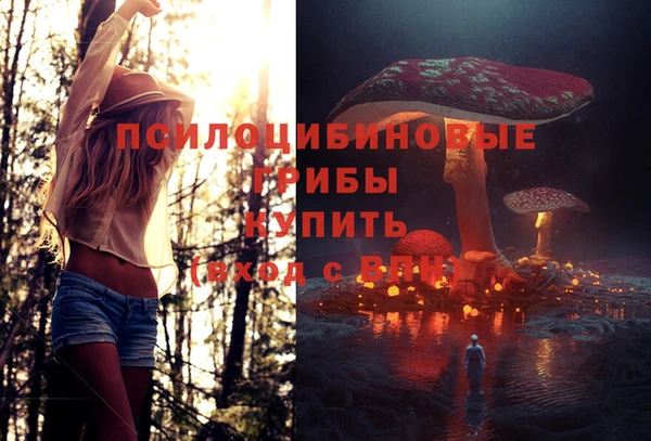 ешки Кинешма