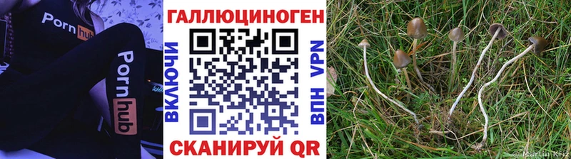 Галлюциногенные грибы Magic Shrooms Купить закладки Кстово